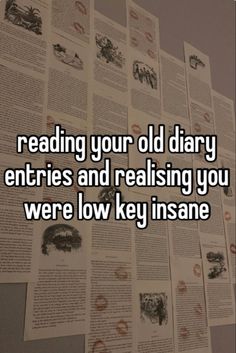 the words reading your old diary entries and raising you were low keyinsane
