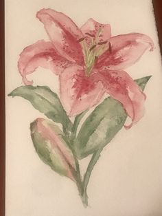 a watercolor drawing of a pink flower