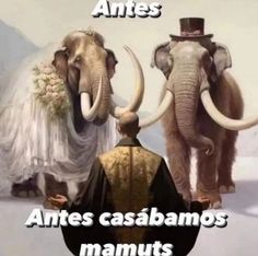 two elephants wearing tuxedos are standing next to each other with the caption, antes casbamos mamuts