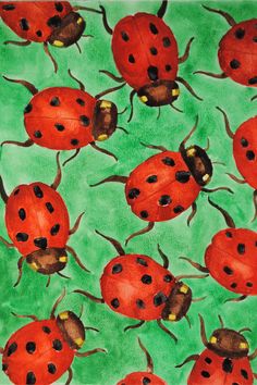 watercolor painting of ladybugs on green background