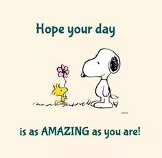a snoopy cartoon with the words hope your day is as amazing as you are