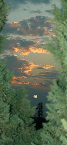 the moon is seen through some trees as the sun sets in the sky behind it