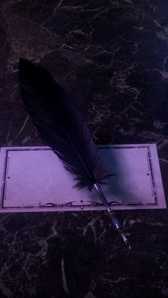 a feather quill sitting on top of a piece of paper