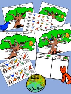 four different types of trees with pictures and words to describe the tree's life cycle