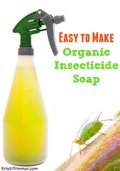 an insect spray bottle with the words easy to make organic insecticide soap