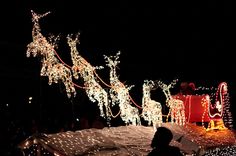 a person standing in front of a lighted christmas sleigh with reindeers on it