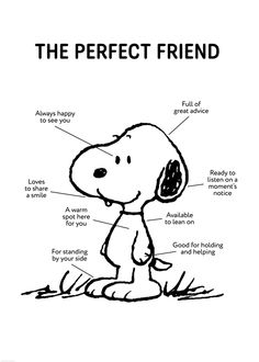 a sign that says the perfect friend with a drawing of a cartoon character on it