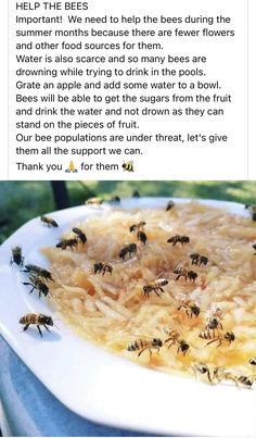 a plate full of food with bees on it and an article about how to get rid from them