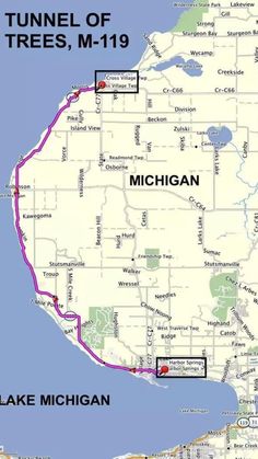 a map shows the location of several trees in michigan