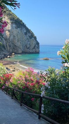 flowers line the walkway leading to an ocean beach with cliffs in the background and people walking on the path