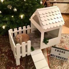 a small white house with a rabbit in it next to a christmas tree and lights