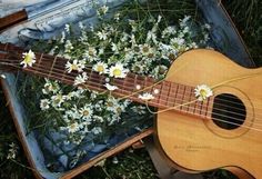a guitar and some daisies in a suitcase