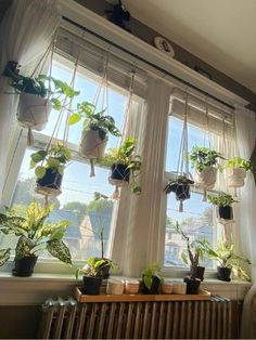 several potted plants are hanging from the window sill above a radiator