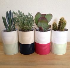 four pots with plants in them sitting on a table