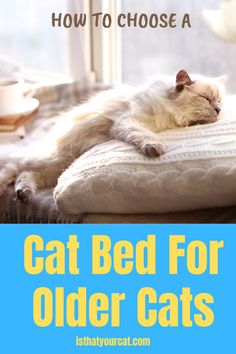 a cat laying on top of a bed with the text how to choose a cat bed for older cats