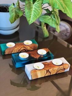 three candles sitting on top of a table next to a potted plant