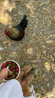 Nature, Farm Life Pictures, Farm Life With Family, Farm Family Asethic, Owning A Farm Aesthetic, Rich Farm Life Aesthetic, English Farm Aesthetic, Organic Farm Aesthetic, Farm Mom Aesthetic