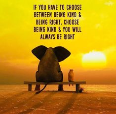 an elephant sitting on top of a wooden bench next to a yellow sky with the words, if you have to choose between being kind and being right, choose being kind