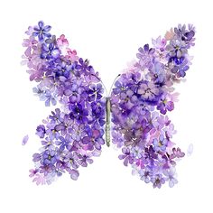 a butterfly made out of purple flowers on a white background