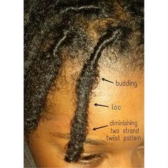 Benefits Of Brushing Locs, Loc Budding Stage, Stages Of Locs, Dreads Short Hair, Short Dreadlocks Styles, Dreadlock Hairstyles For Men, Short Locs Hairstyles, Beautiful Dreadlocks, Starter Locs