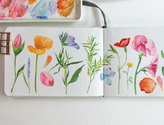 watercolor flowers painted on white paper next to a brush and paint roller with colored pencils