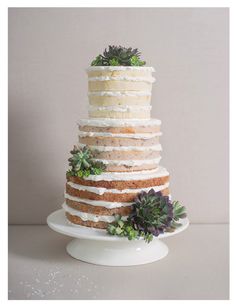 a three tiered cake with succulents on top