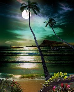 two palm trees on the beach at night