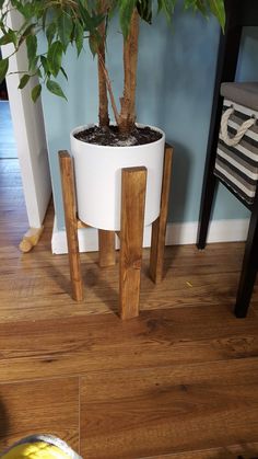 a potted plant sitting on top of a wooden table