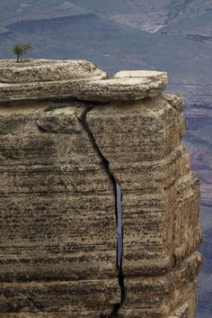 Grand Canyon National Park, Grande Canyon, Landscape Photoshop, Lone Tree, Have Inspiration, Arizona Usa, Rock Formations, Zion National Park