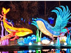 an image of some colorful lights in the water