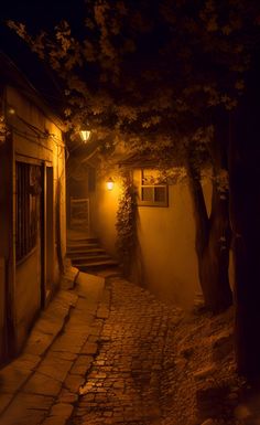 an alley way with steps lit up at night