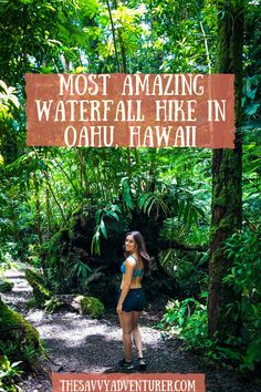 Hawaii
Oahu
Oahu, Hawaii
Waterfall Hike
Oahu Waterfall Hike
Oahu Hike
Hawaii Waterfall Hike
Tropical Jungle Oahu Hawaii Activities, Oahu Waterfalls, Hawaii Vacation Oahu, Under A Waterfall, Hawaii Waterfalls, Hawaii Vacation Tips, Amazing Waterfall, Oahu Hikes