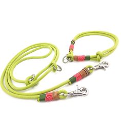 two leashes with different colors on them