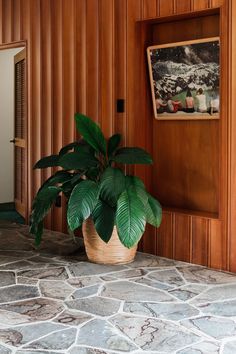 a potted plant sitting on top of a stone floor next to a wooden wall