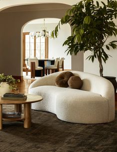 a living room filled with furniture and a potted plant on top of a table