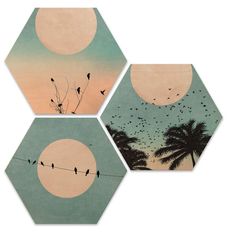 three hexagons with birds and palm trees in the background