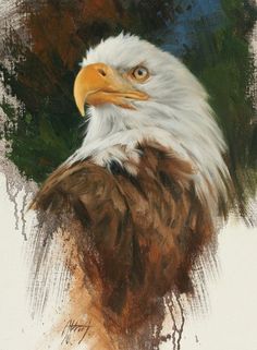 a painting of an eagle with brown and white feathers, looking to its left side