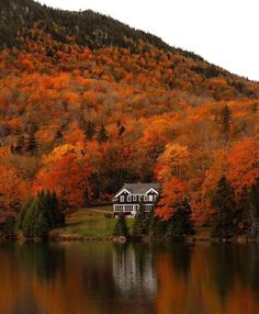 a house sitting on the shore of a lake surrounded by trees with orange and yellow leaves