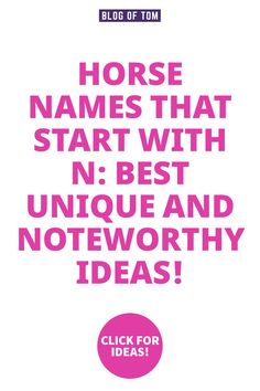 horse names that start with n best unique and not - worth ideas click for ideas