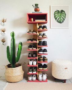 a shoe rack with several pairs of shoes on it next to a potted cactus