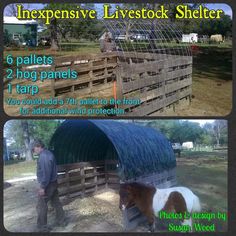 an image of a man standing next to a horse in a fenced in area