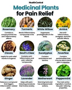 a poster with different types of plants and their uses for pain reliefing