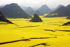 two pictures of yellow fields with mountains in the background