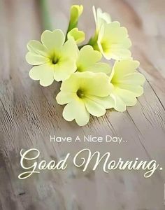 some yellow flowers sitting on top of a wooden table with the words have a nice day good morning