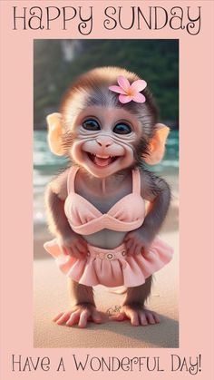 a card with a monkey wearing a pink dress and flower in it's hair that says, happy sunday have a wonderful day