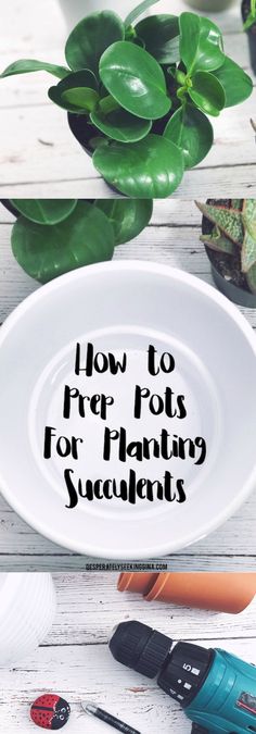 a white bowl with the words how to prep pots for planting succulents