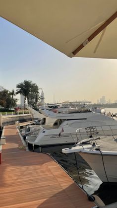 many boats are docked at the marina