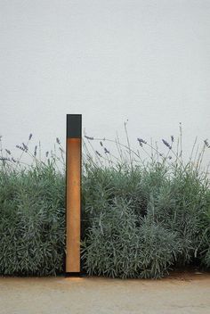 there is a tall wooden pole in the middle of some bushes and plants near a wall