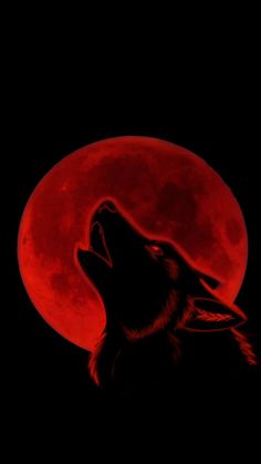 the wolf is looking up at the red moon