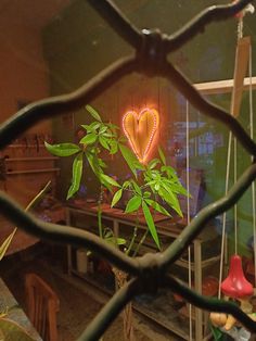 a plant in a pot is seen through a fence